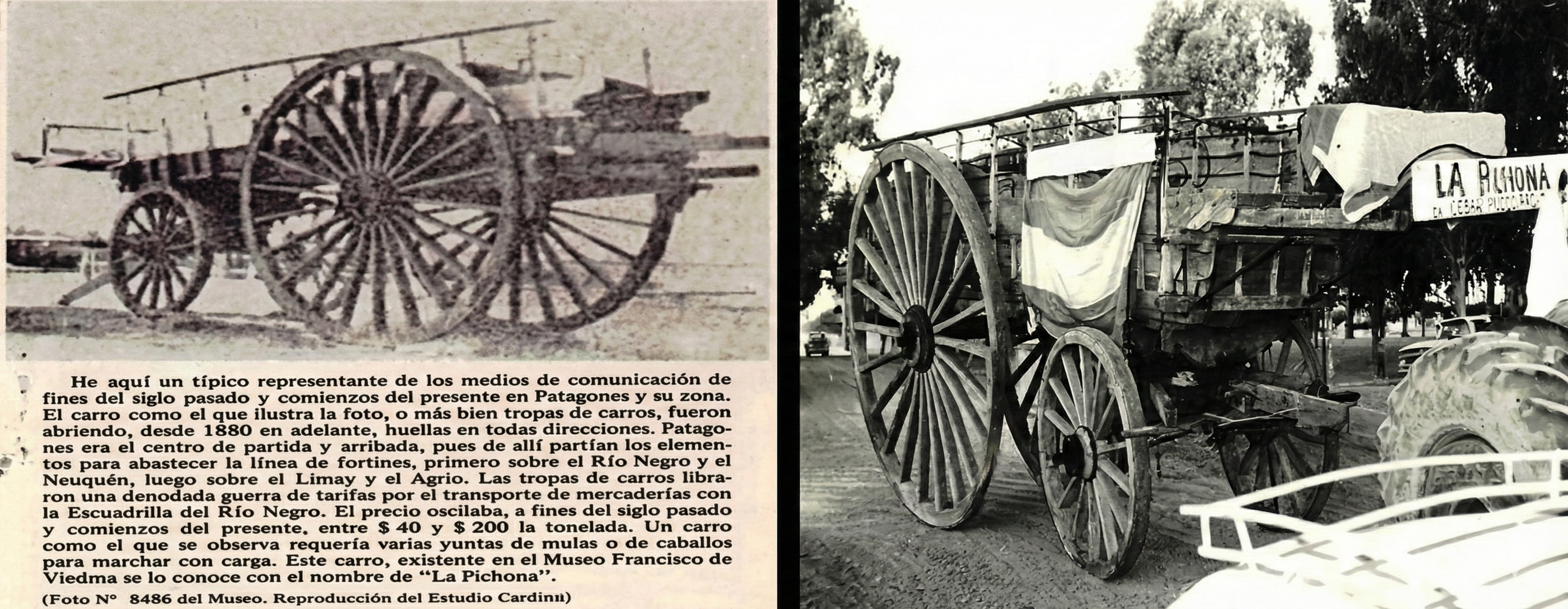 Scheda Tecnica Originale